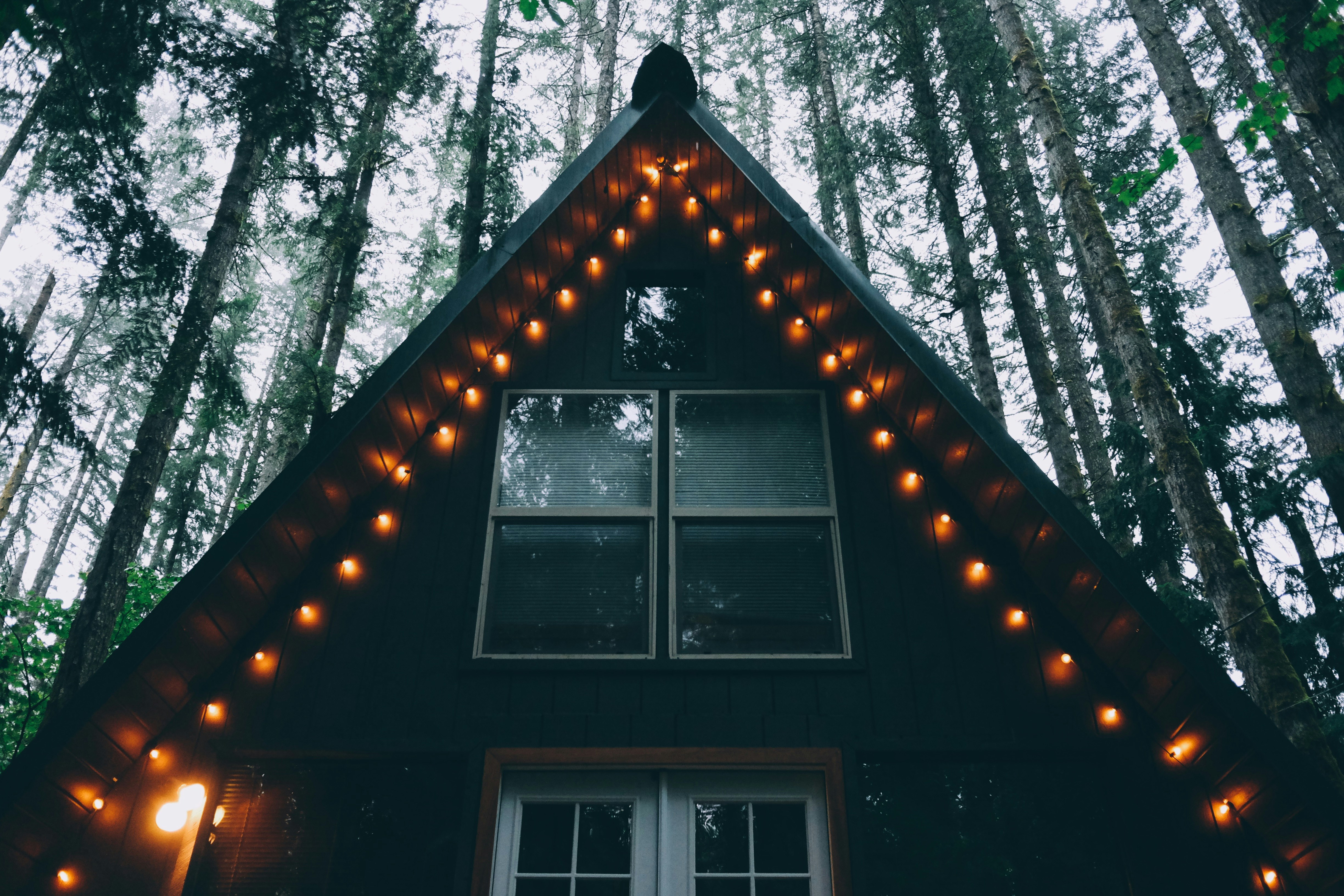 house with string lights
